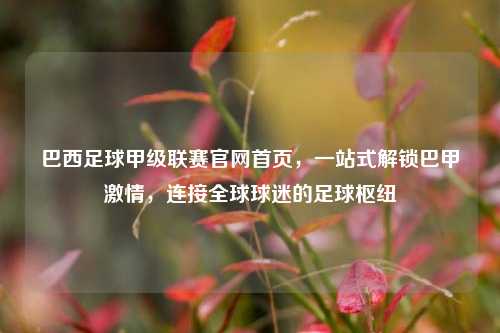 巴西足球甲级联赛官网首页,一站式解锁巴甲 ,连接全球球迷的足球枢纽