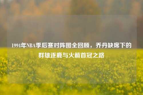 1994年NBA季后赛对阵图全回顾,乔丹缺席下的群雄逐鹿与火箭首冠之路