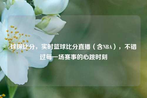球探比分,实时篮球比分直播(含NBA),不错过每一场赛事的心跳时刻