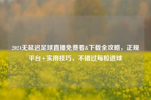 2024无延迟足球直播免费看&下载全攻略,正规平台+实用技巧,不错过每粒进球