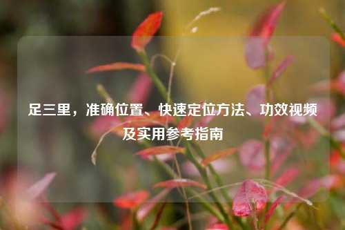 足三里,准确位置、快速定位 、功效视频及实用参考指南