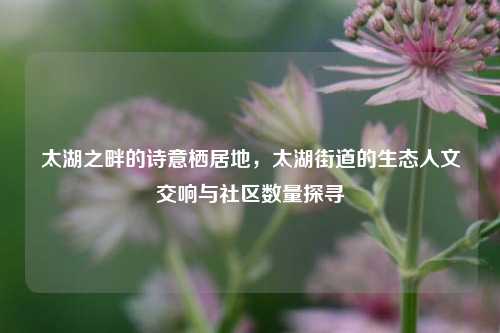 太湖之畔的诗意栖居地,太湖街道的生态人文交响与社区数量探寻