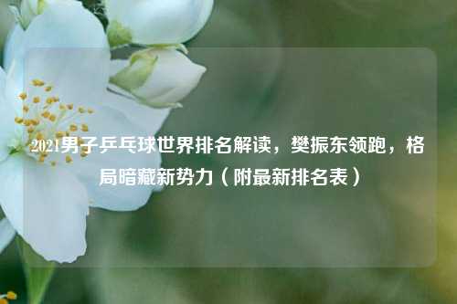 2021男子乒乓球世界排名解读,樊振东领跑,格局暗藏新势力(附最新排名表)