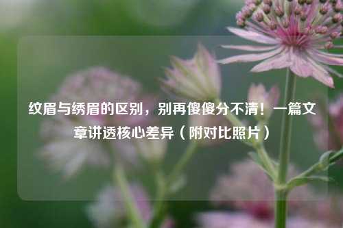 纹眉与绣眉的区别,别再傻傻分不清!一篇文章讲透核心差异(附对比照片)