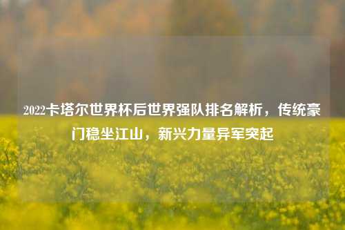 2022卡塔尔世界杯后世界强队排名解析,传统豪门稳坐江山,新兴力量异军突起