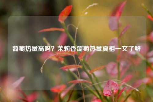 葡萄热量高吗?茉莉香葡萄热量真相一文了解