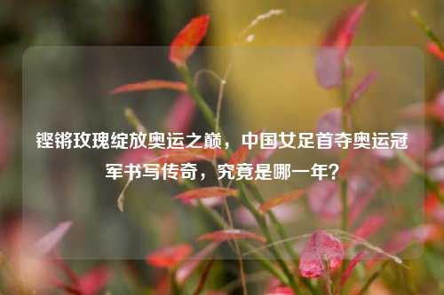 铿锵玫瑰绽放奥运之巅,中国女足首夺奥运冠军书写传奇,究竟是哪一年?