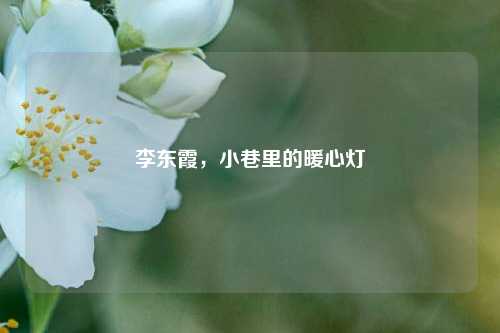 李东霞,小巷里的暖心灯