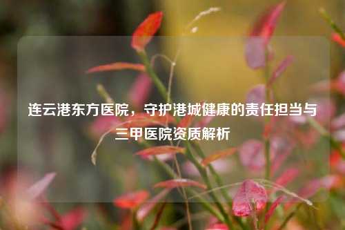 连云港东方医院,守护港城健康的责任担当与三甲医院资质解析