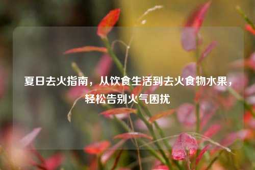 夏日去火指南,从饮食生活到去火食物水果,轻松告别火气困扰