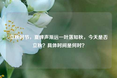 立秋时节,夏蝉声渐远一叶落知秋,今天是否立秋?具体时间是何时?