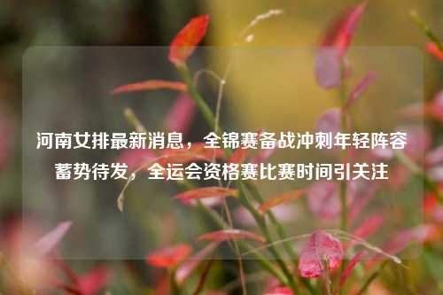 河南女排最新消息,全锦赛备战冲刺年轻阵容蓄势待发,全运会资格赛比赛时间引关注