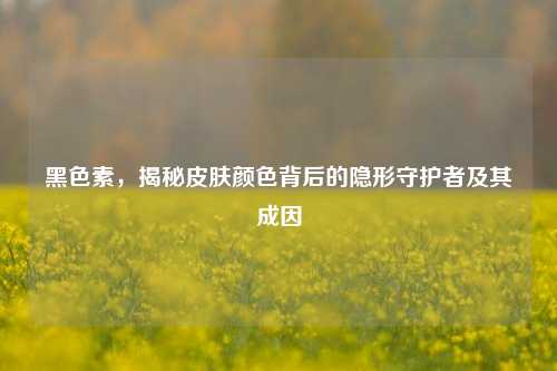 黑色素,揭秘皮肤颜色背后的隐形守护者及其成因