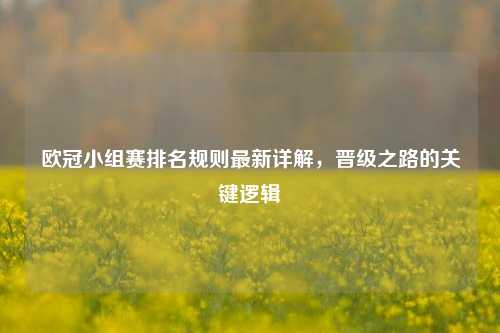 欧冠小组赛排名规则最新详解,晋级之路的关键逻辑