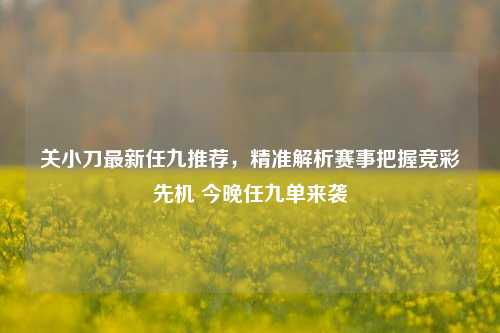 关小刀最新任九推荐,精准解析赛事把握竞彩先机 今晚任九单来袭
