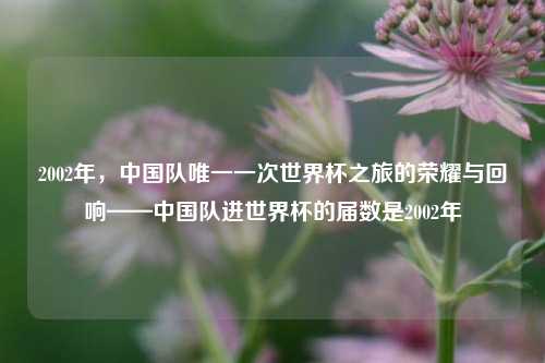 2002年,中国队唯一一次世界杯之旅的荣耀与回响——中国队进世界杯的届数是2002年