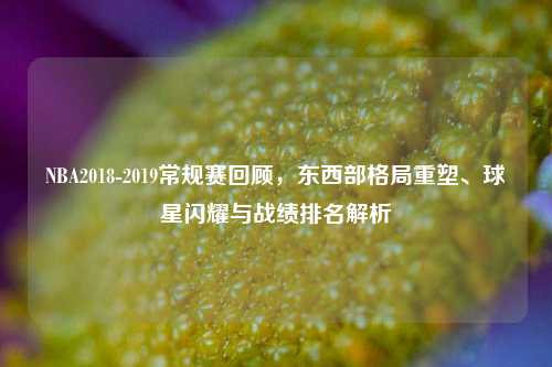 NBA2018-2019常规赛回顾,东西部格局重塑、球星闪耀与战绩排名解析