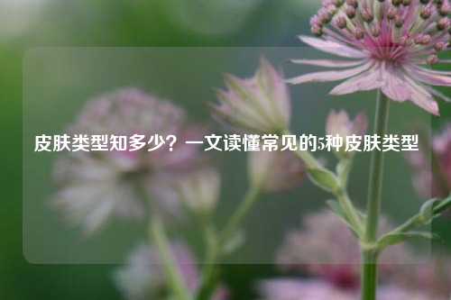 皮肤类型知多少?一文读懂常见的5种皮肤类型