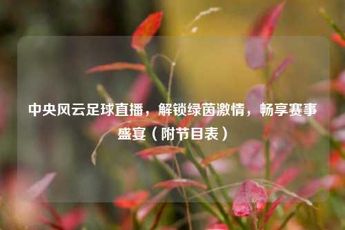 中央风云足球直播,解锁绿茵 ,畅享赛事盛宴(附节目表)