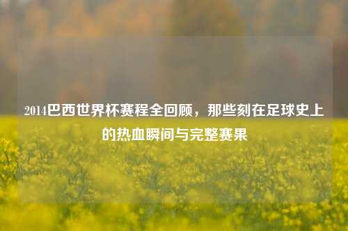 2014巴西世界杯赛程全回顾,那些刻在足球史上的热血瞬间与完整赛果
