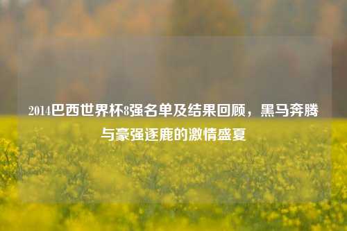 2014巴西世界杯8强名单及结果回顾,黑马奔腾与豪强逐鹿的 盛夏