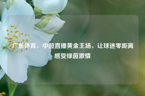 广东体育,中超直播黄金主场,让球迷零距离感受绿茵