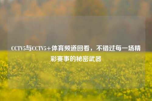 CCTV5与CCTV5+体育频道回看,不错过每一场精彩赛事的秘密武器