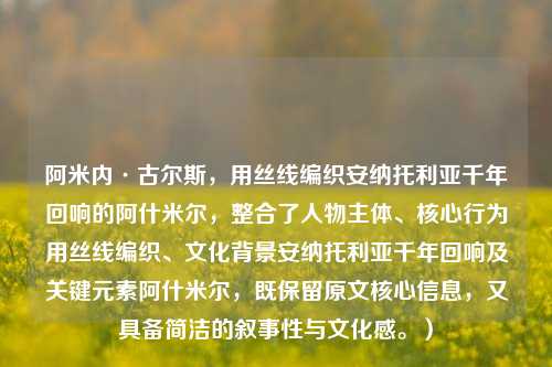 阿米内·古尔斯,用丝线编织安纳托利亚千年回响的阿什米尔,整合了人物主体、核心行为用丝线编织、文化背景安纳托利亚千年回响及关键元素阿什米尔,既保留原文核心信息,又具备简洁的叙事性与文化感。)