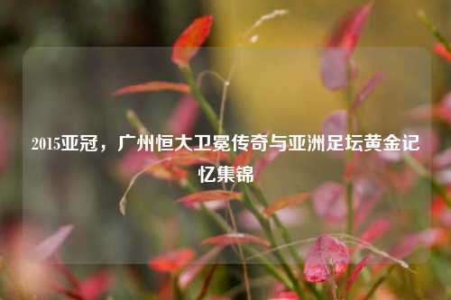 2015亚冠,广州恒大卫冕传奇与亚洲足坛黄金记忆集锦