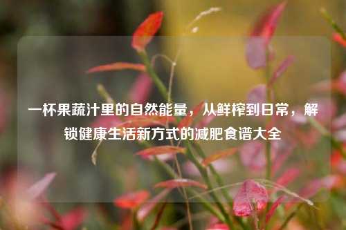 一杯果蔬汁里的自然能量,从鲜榨到日常,解锁健康生活新方式的减肥食谱大全