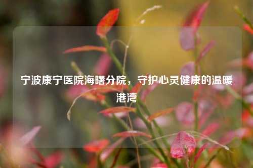 宁波康宁医院海曙分院,守护心灵健康的温暖港湾