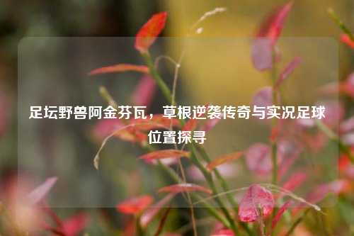 足坛野兽阿金芬瓦,草根逆袭传奇与实况足球位置探寻
