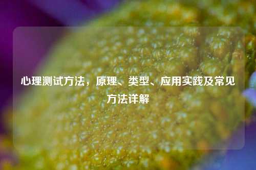 心理测试 ,原理、类型、应用实践及常见 详解
