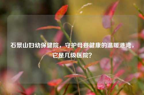 石景山妇幼保健院,守护母婴健康的温暖港湾,它是几级医院?