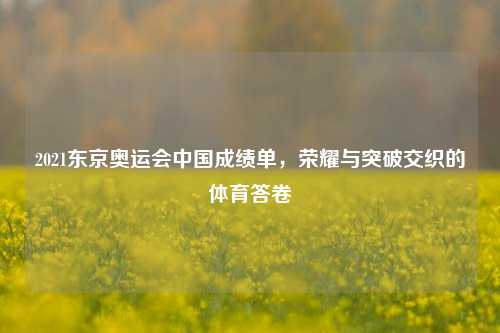 2021东京奥运会中国成绩单,荣耀与突破交织的体育答卷