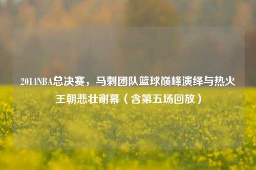 2014NBA总决赛,马刺团队篮球巅峰演绎与热火王朝悲壮谢幕(含第五场回放)