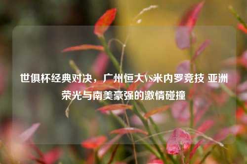 世俱杯经典对决,广州恒大VS米内罗竞技 亚洲荣光与南美豪强的 碰撞