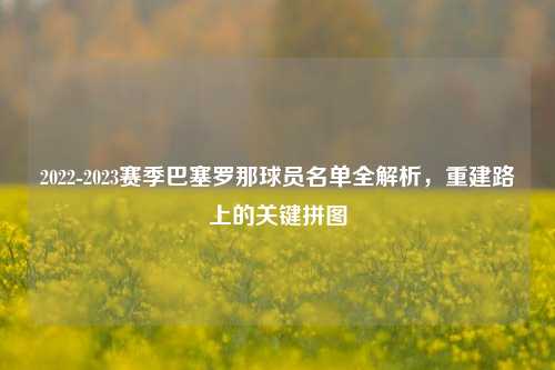 2022-2023赛季巴塞罗那球员名单全解析,重建路上的关键拼图