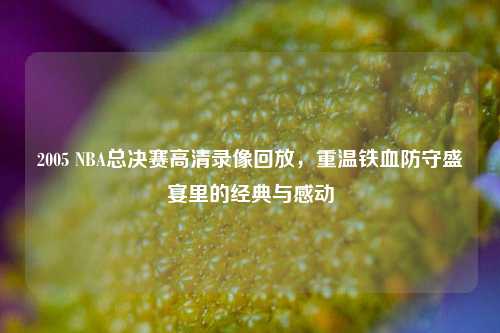 2005 NBA总决赛高清录像回放,重温铁血防守盛宴里的经典与感动