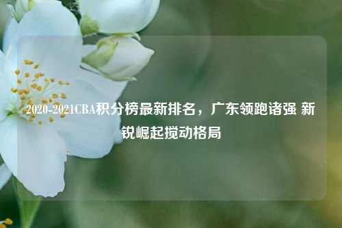 2020-2021CBA积分榜最新排名,广东领跑诸强 新锐崛起搅动格局