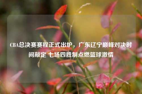 CBA总决赛赛程正式出炉,广东辽宁巅峰对决时间敲定 七场四胜制点燃篮球