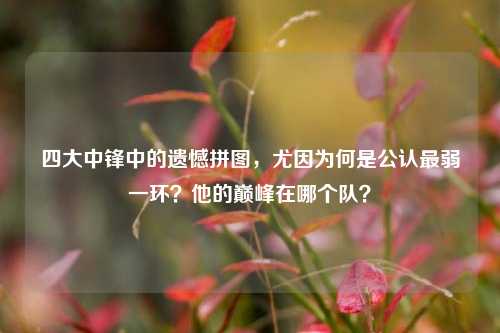 四大中锋中的遗憾拼图,尤因为何是公认最弱一环?他的巅峰在哪个队?