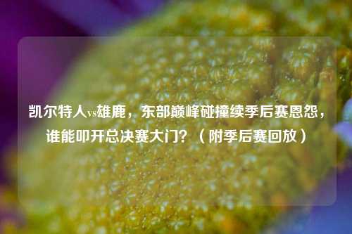 凯尔特人vs雄鹿,东部巅峰碰撞续季后赛恩怨,谁能叩开总决赛大门?(附季后赛回放)