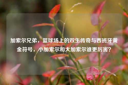 加索尔兄弟,篮球场上的双生传奇与西班牙黄金符号,小加索尔和大加索尔谁更厉害?