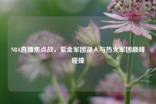 NBA直播焦点战,紫金军团湖人与热火军团巅峰碰撞