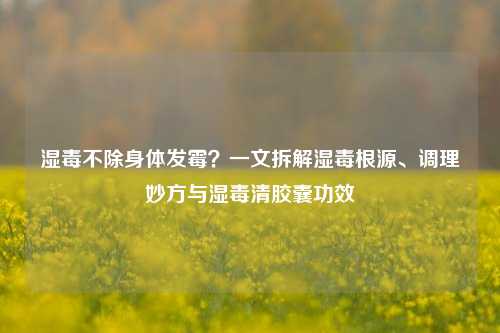 湿毒不除身体发霉?一文拆解湿毒根源、调理妙方与湿毒清胶囊功效