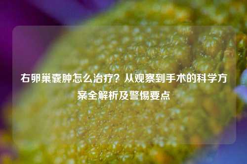 右卵巢囊肿怎么治疗?从观察到手术的科学方案全解析及警惕要点