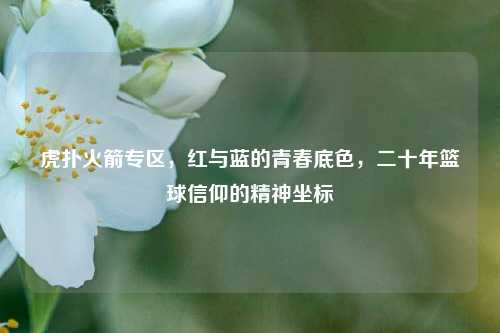 虎扑火箭专区,红与蓝的青春底色,二十年篮球信仰的精神坐标