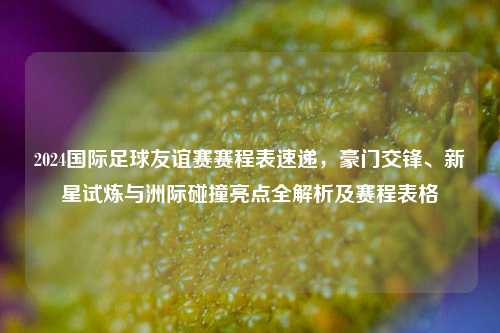2024国际足球友谊赛赛程表速递,豪门交锋、新星试炼与洲际碰撞亮点全解析及赛程表格