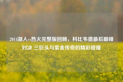 2014湖人vs热火完整版回顾,科比韦德最后巅峰对决 三巨头与紫金传奇的精彩碰撞